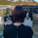 レイヤーカット// メイのプロフィール画像