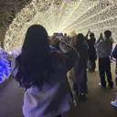 eyelash fleurのプロフィール画像