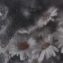 ᴍᴀʀɪɴ ⏾のプロフィール画像