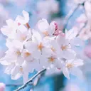 WHITEEYE 東広島店せらのプロフィール画像