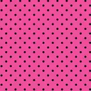 新開 美咲のプロフィール画像