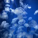 田中 理菜のプロフィール画像