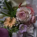 山田 梓紗のプロフィール画像