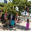 S natsumiのプロフィール画像