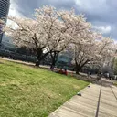 中島 夕菜のプロフィール画像