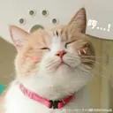 Alisa nail Rinのプロフィール画像