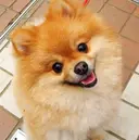 オガサワラ ケイスケのプロフィール画像