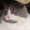 増尾 あいこのプロフィール画像