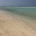 Nest 蜂谷のプロフィール画像