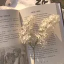 菊地 沙耶のプロフィール画像