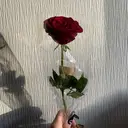 久我 月星のプロフィール画像