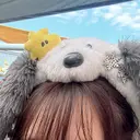 memelu 名駅のプロフィール画像