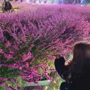 🌼 Nanami🌼のプロフィール画像