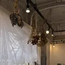 milla 🌼saitou🌼のプロフィール画像