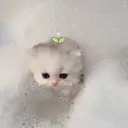 EYELA 逸見のプロフィール画像