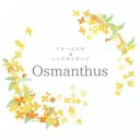 今町 真菜のプロフィール画像