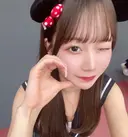 ibuki 🐈🎀のプロフィール画像