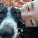 NAIL FOCUS Lisaのプロフィール画像