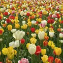 na naのプロフィール画像