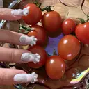 oichan 𖦹°‧のプロフィール画像