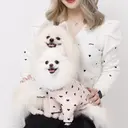 Cerise Nailのプロフィール画像