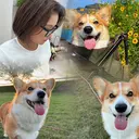 aimy JUNKO👀💫のプロフィール画像