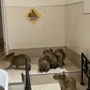 村田 優芽のプロフィール画像