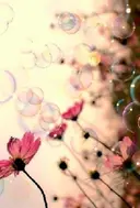 中西 沙英のプロフィール画像