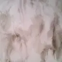 並木 俐子のプロフィール画像