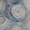 内田 葵のプロフィール画像