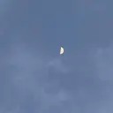 illfrere イルフレール🌙のプロフィール画像