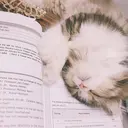 Anna nail Yoko陽子のプロフィール画像