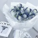 丸井 美咲のプロフィール画像