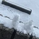 クロヤマ ノアミのプロフィール画像