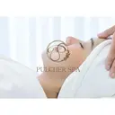 プルケル スパのプロフィール画像