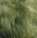 ⠀ RINのプロフィール画像