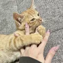 LUCIDO 🎀スタッフのプロフィール画像