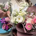 shucre 柴本愛梨のプロフィール画像