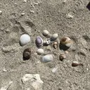 アイニコ第1ビル 米岡のプロフィール画像