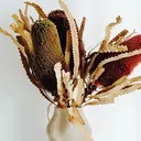 Lunie 望月のプロフィール画像