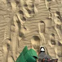 宮原 栞のプロフィール画像