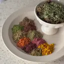 shiki .のプロフィール画像