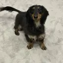 森 千優のプロフィール画像