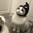 石田 恵美のプロフィール画像