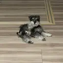 鳥山 梨鈴のプロフィール画像