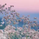 パリジェンヌ／パーマ 🎀Mai🎀のプロフィール画像