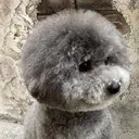 POLA エステインあいのプロフィール画像