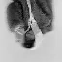 銀座︎ ︎ABBEY 伊藤 耀子のプロフィール画像