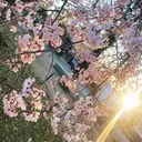 R. 久のプロフィール画像