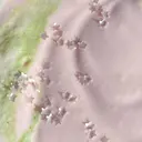 太田 汐音のプロフィール画像